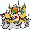 KingBowser(Admin baby!)