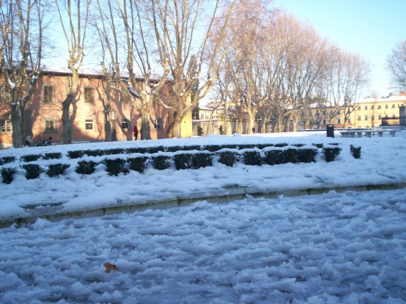 pisa e Ghezzano 19-12-2010 2 giorni dopo la nevicata