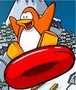 عاشق~club penguin~