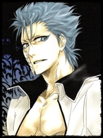 Grimmjow Jeaggerjaquez