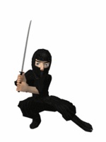 3D Ninja