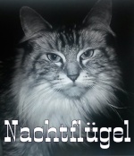 Nachtflügel