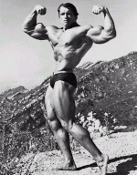 Arnold Swagsenigger