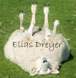Elias Dreyer
