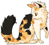 Colorpaw