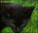 Poisonkit,