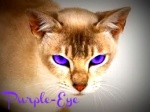 Purple-Eye