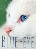 Blue-eye