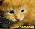 Cinnamonkit