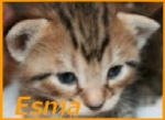 Esma