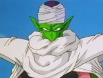 piccolo