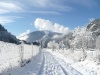 neige 29 janvier 2011