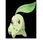 Chikorita