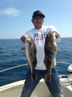 Fishing Reports Western Region 163-95