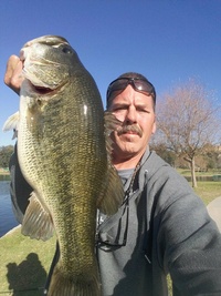 North America Region Fishing Reports. 2882-41