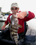 Local & On-line Sales and Fishing Shows 316-64