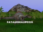 Patagonialife120