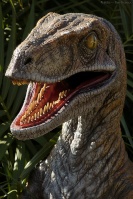 Velocirsaurus Rex