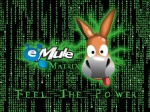 emule