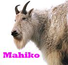 Mahiko