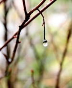 drop of rain