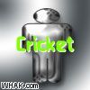 Cricket