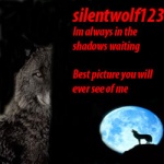 silentwolf123