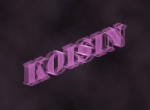 Koisin