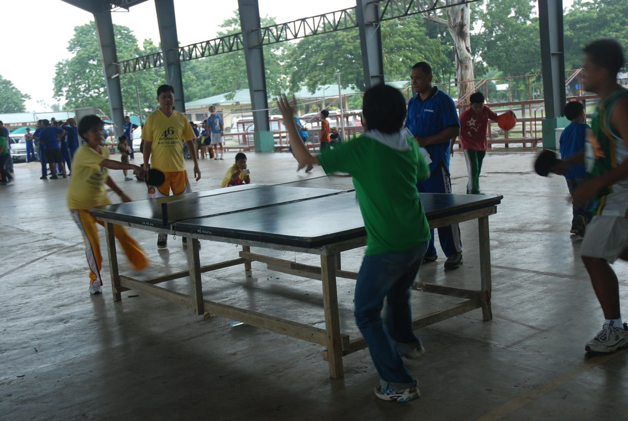 table tennis1