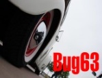 bug63