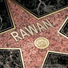 rawan