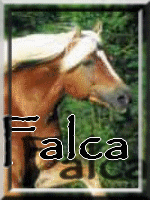 Falca