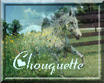 chouquette