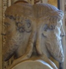 Janus