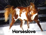 Horseslove