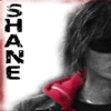 shane