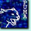 pumas