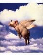 The flying pig