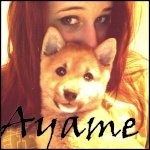 Ayame.