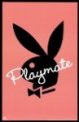 playmate8