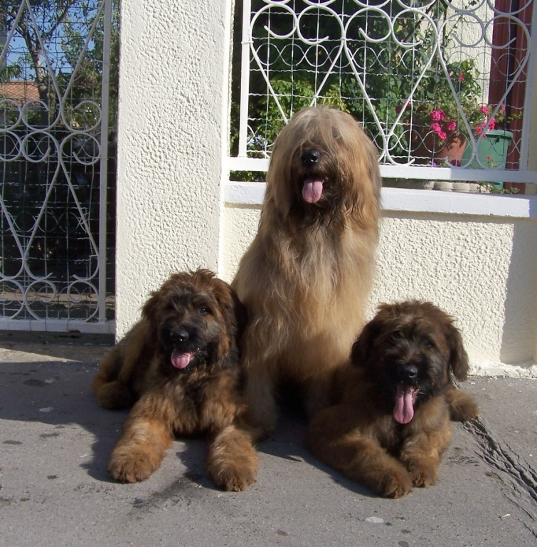 Eden, Brithany, Etna