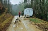 le bonheur dans la nature