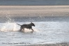 Première sortie à la mer !