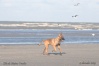 Première sortie à la mer !