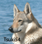 Tsuki54