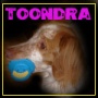 toondra