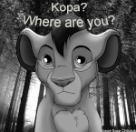 Kopa