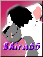 Shira65