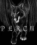 -percu-(retour)