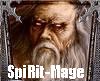 SpiRit-Mage